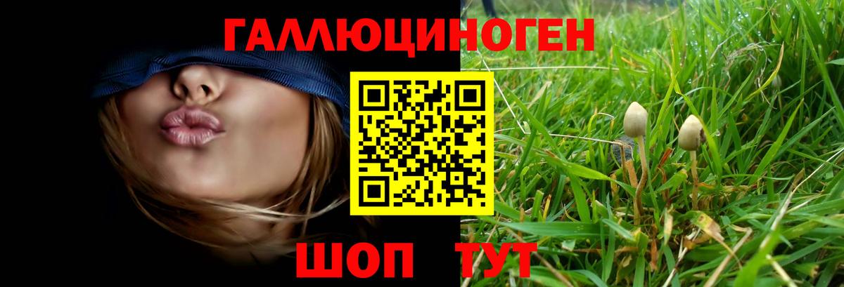 Псилоцибиновые грибы GOLDEN TEACHER  Вход с VPN  Псилоцибиновые грибы GOLDEN TEACHER  Бугуруслан 